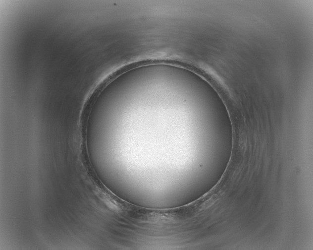 X0000074941270200609151955