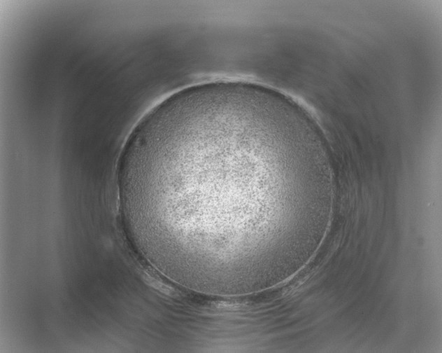 X0000074941271200609151955