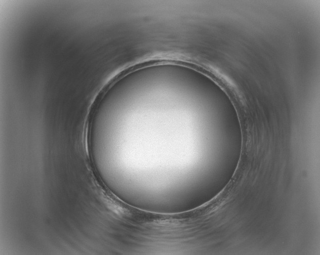 X0000074941272200609151955