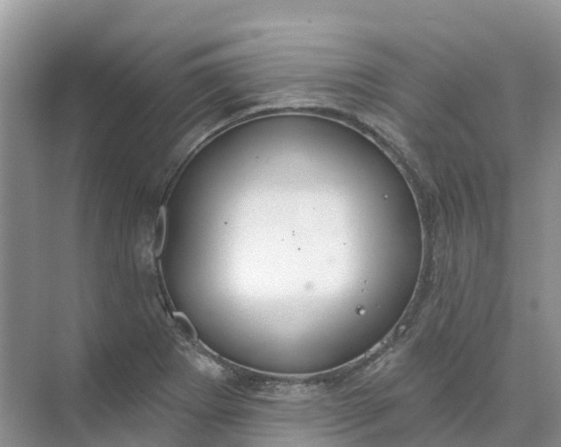 X0000074941273200609151955