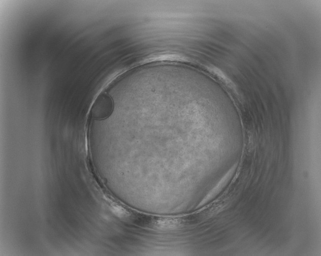 X0000074941274200609151955