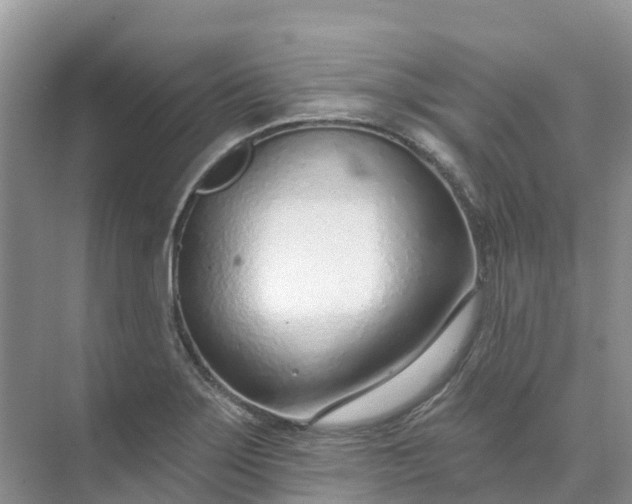 X0000074941275200609151955