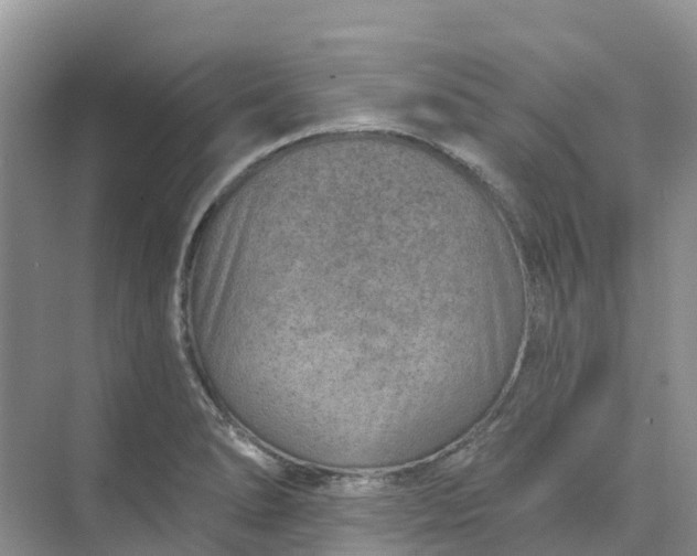 X0000074941278200609151955