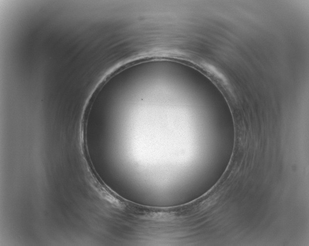 X0000074941280200609151955