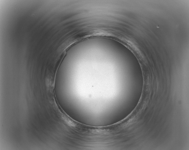 X0000074941281200609151955