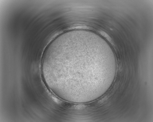 X0000074941282200609151955