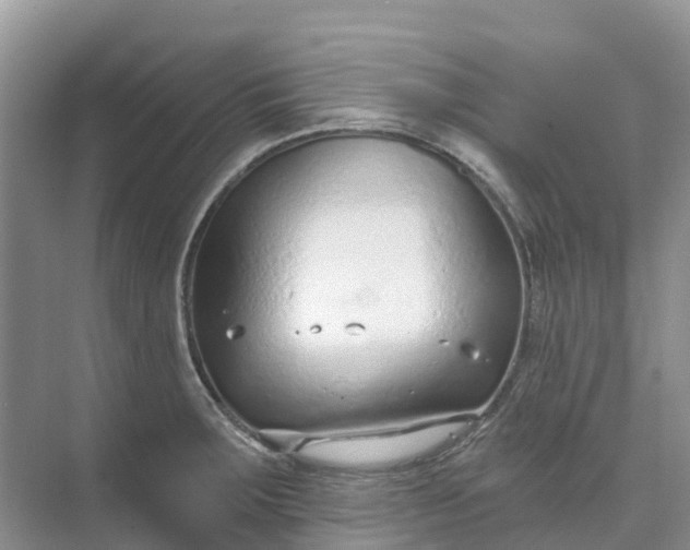 X0000074941283200609151955