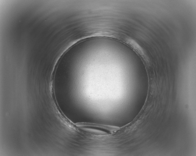 X0000074941284200609151955