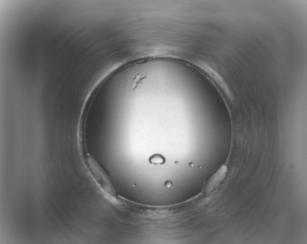 X0000074941285200609151955