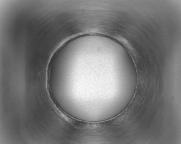 X0000074941286200609151955