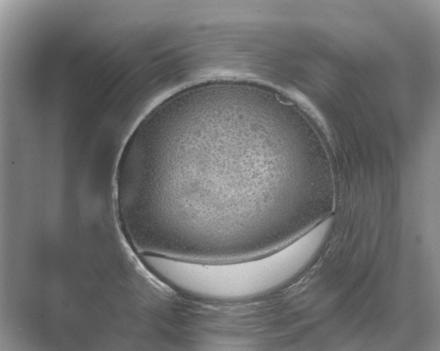 X0000074941287200609151955