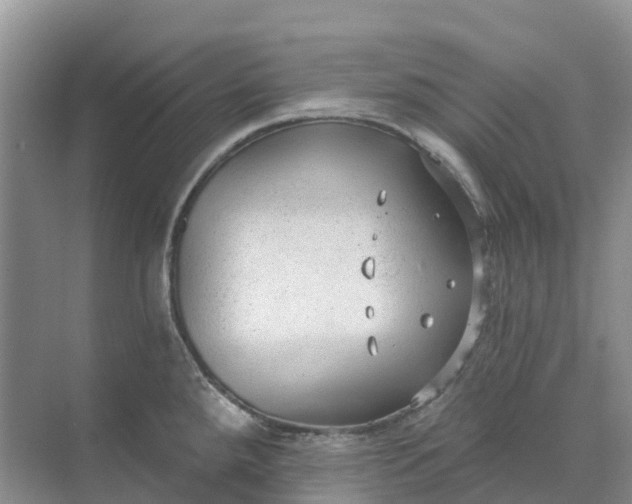 X0000074941288200609151955