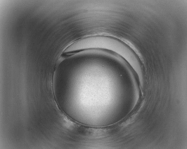 X0000074941289200609151955