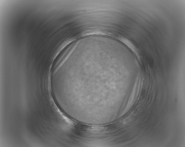 X0000074941290200609151955