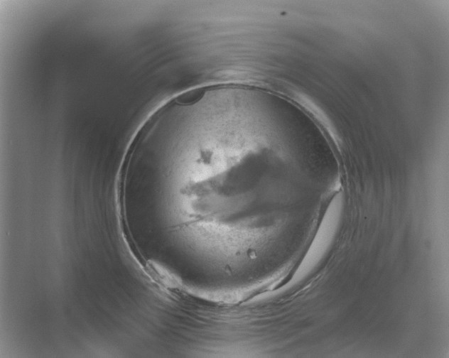 X0000074941291200609151955