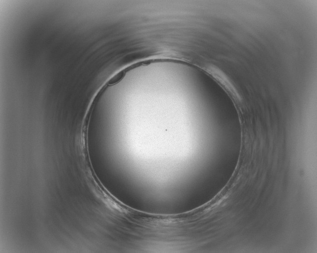 X0000074941292200609151955