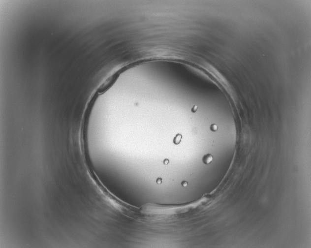 X0000074941293200609151955