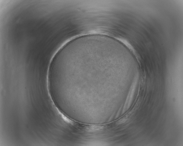 X0000074941294200609151955