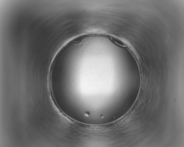 X0000074941295200609151955