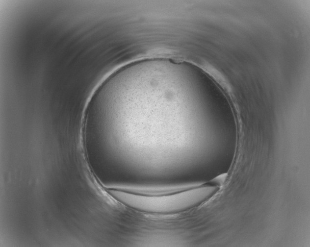 X0000074941296200609151955