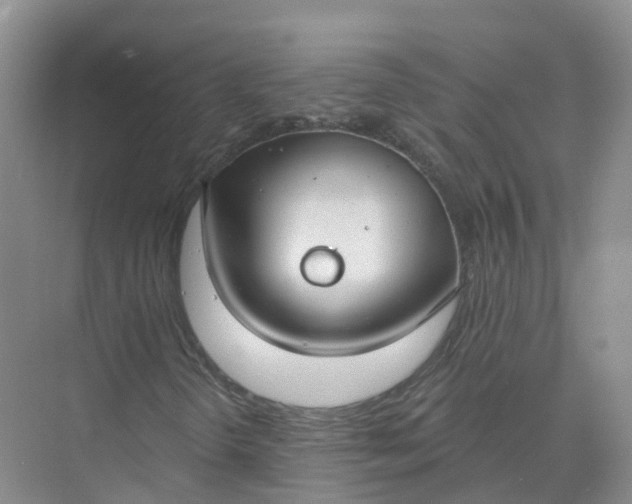 X0000074941298200609151954