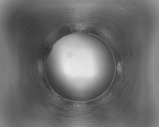 X0000074941299200609151954