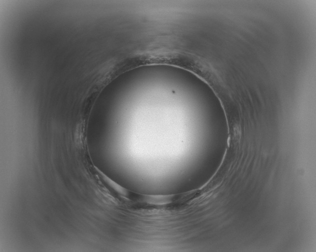 X0000074941300200609151954