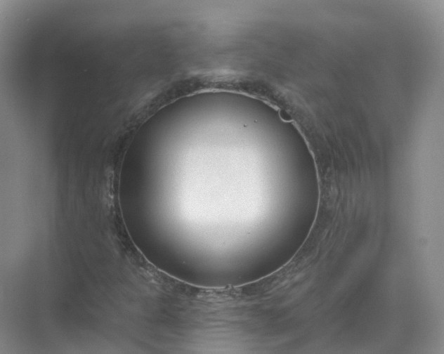 X0000074941301200609151954