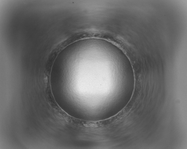 X0000074941302200609151954