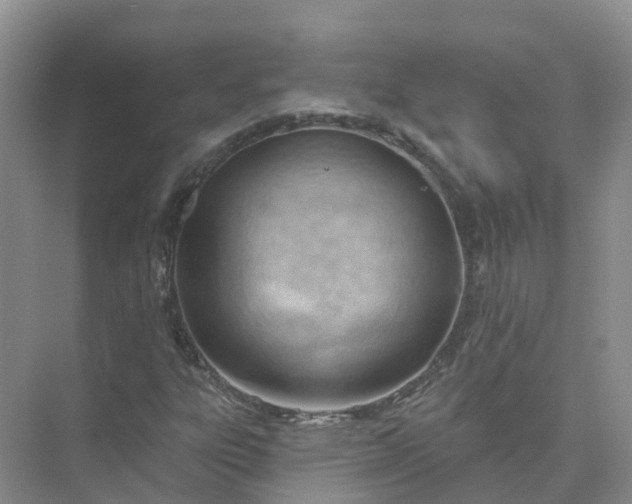 X0000074941303200609151954