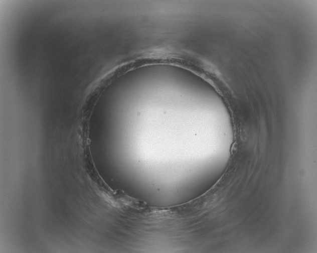 X0000074941304200609151954