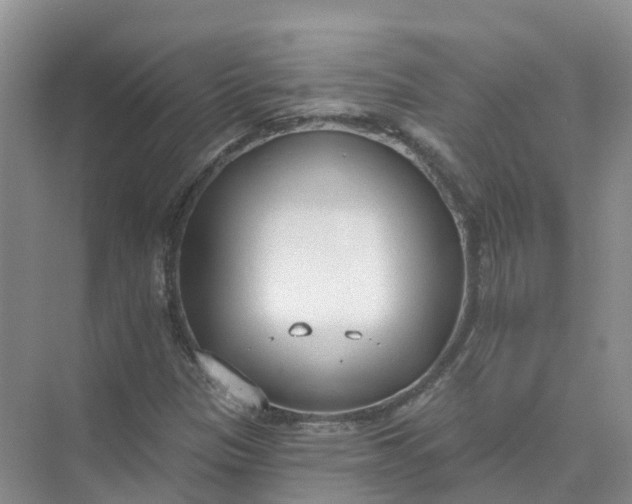 X0000074941305200609151954