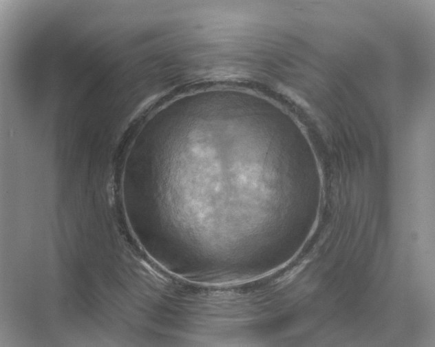 X0000074941306200609151954