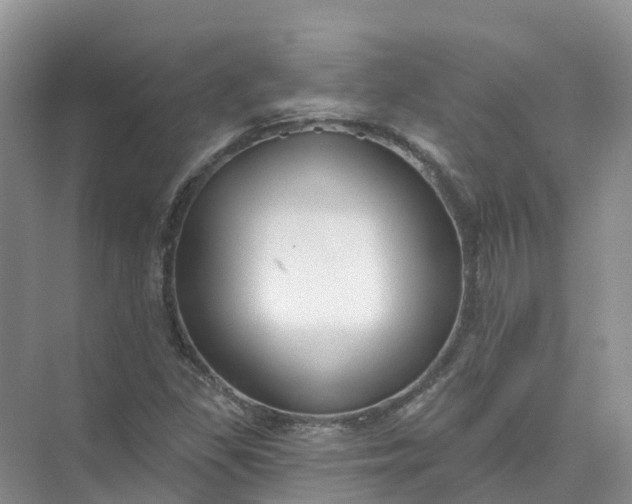 X0000074941309200609151954