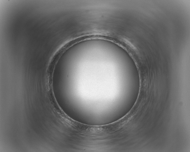 X0000074941310200609151954