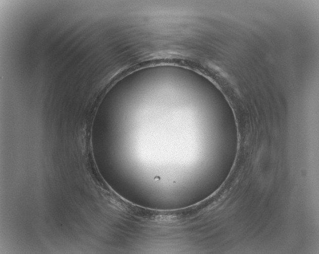 X0000074941313200609151954