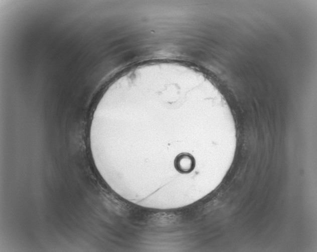 X0000074941314200609151954