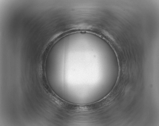 X0000074941315200609151954