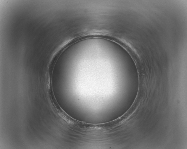 X0000074941317200609151954