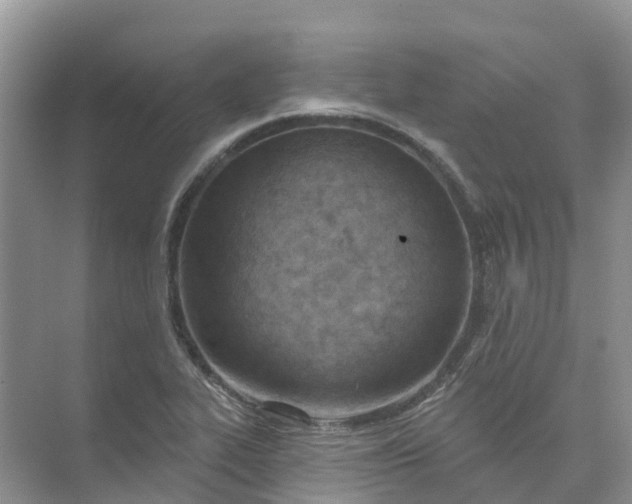 X0000074941319200609151954