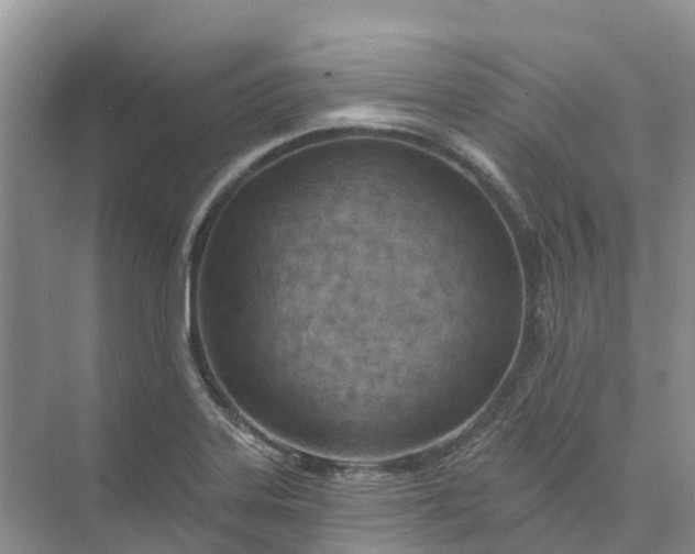 X0000074941323200609151954