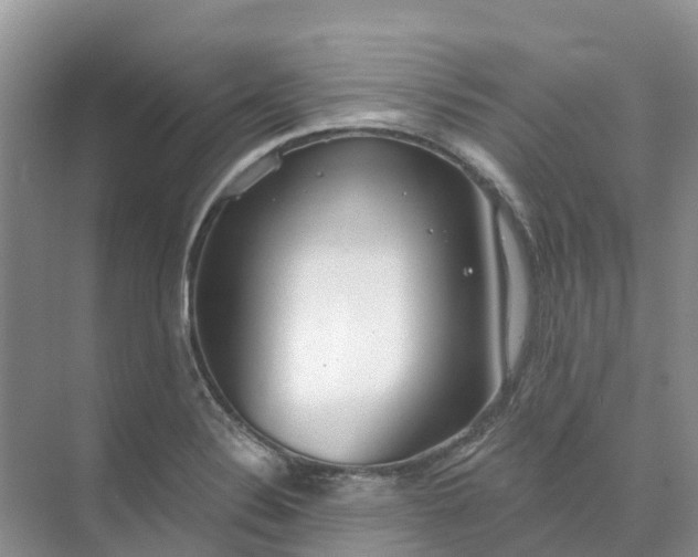 X0000074941324200609151954