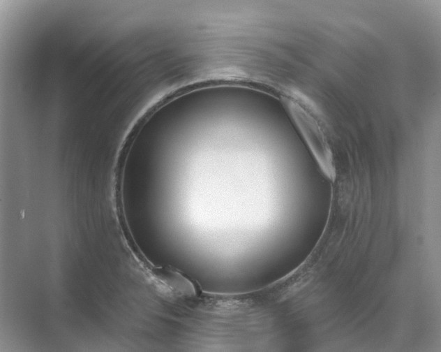 X0000074941326200609151954