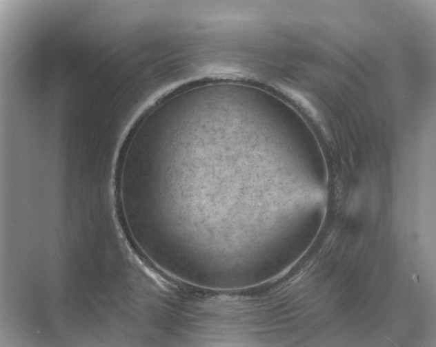 X0000074941327200609151954