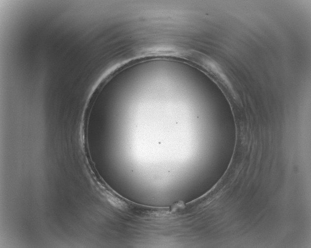 X0000074941328200609151954