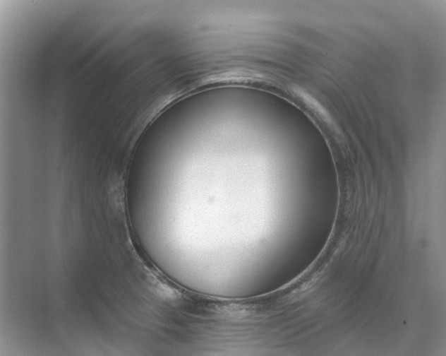 X0000074941329200609151954