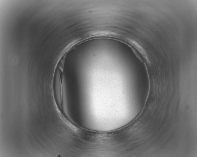 X0000074941330200609151954