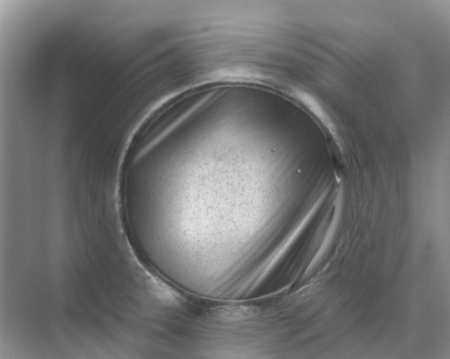 X0000074941331200609151955