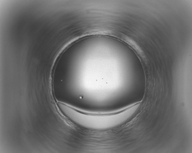 X0000074941332200609151955