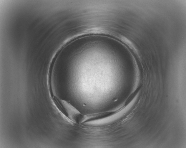 X0000074941334200609151955